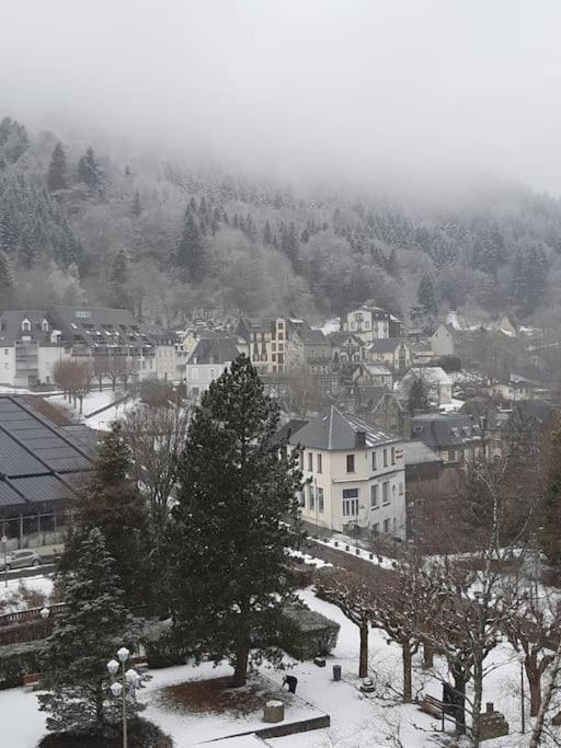 Le Sarciron 82 Le Mont-Dore Exterior foto